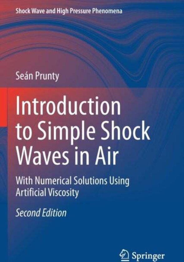 Introduction to Simple Shock Waves in Air av Sean Prunty