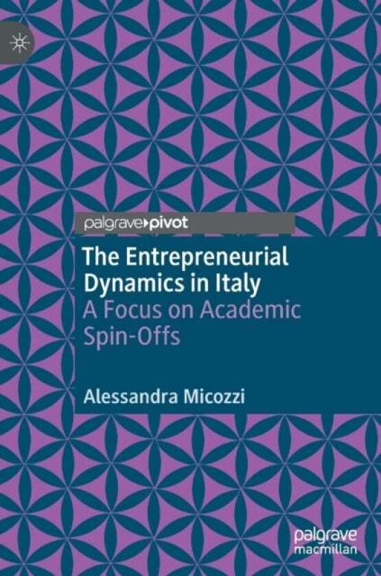 The Entrepreneurial Dynamics in Italy av Alessandra Micozzi