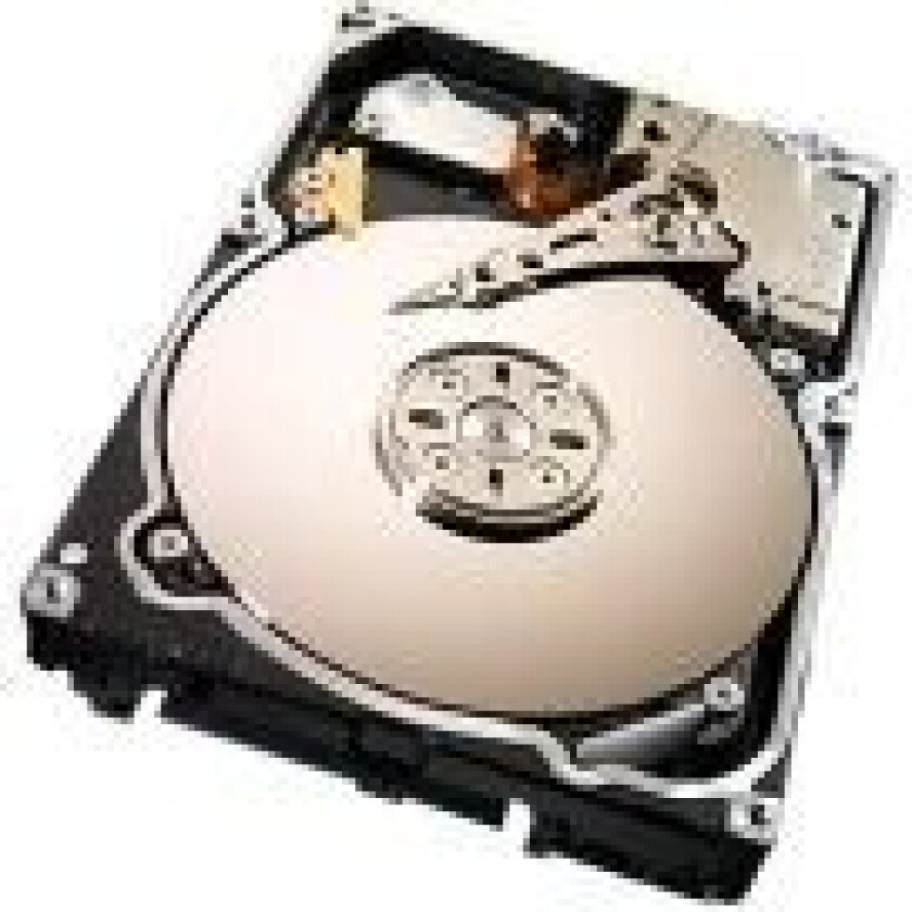 Constellation.2 ST91000640NS - Harddisk - 1 TB - intern - 2.5 - SATA 6Gb/s - 7200 rpm - buffer: 64 MB