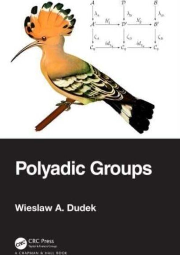 Polyadic Groups av Wieslaw A. Dudek
