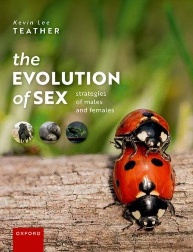 The Evolution of Sex av Kevin Lee Teather