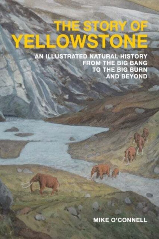 The Story of Yellowstone av Mike O'Connell