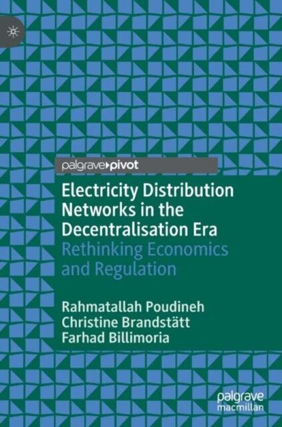 Electricity Distribution Networks in the Decentralisation Era av Christine Brandstatt