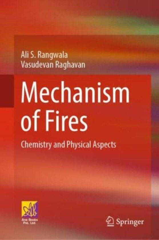Mechanism of Fires av Ali S. Rangwala