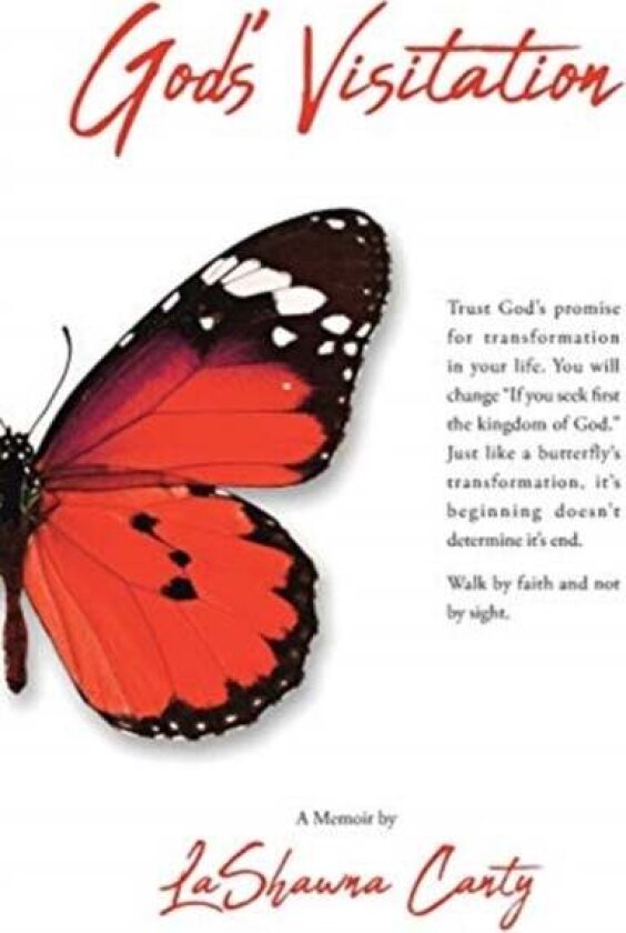 God's Visitation av Lashawna Canty