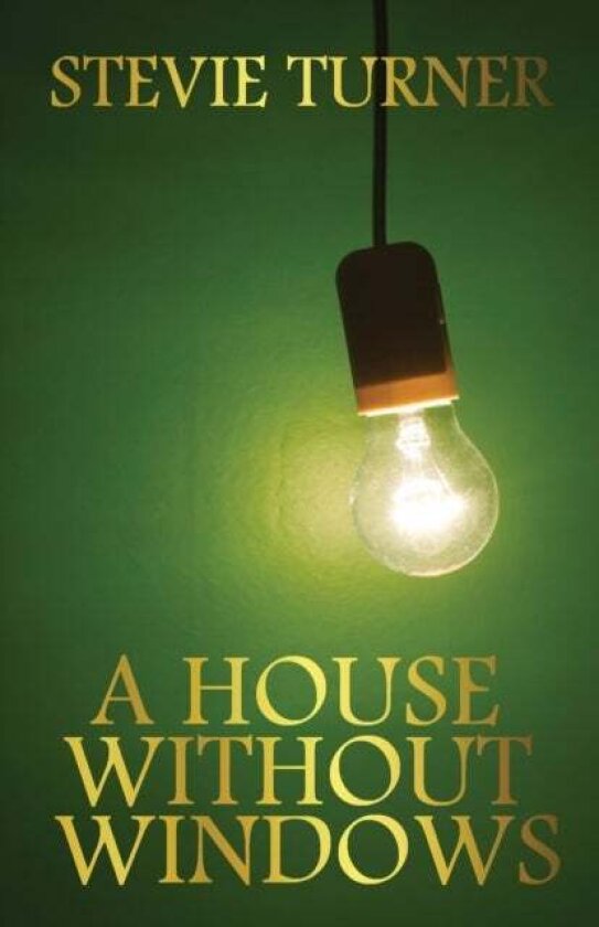 A House Without Windows av Stevie Turner