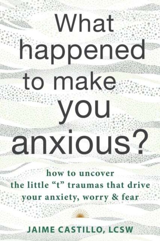 What Happened to Make You Anxious? av Jaime Castillo