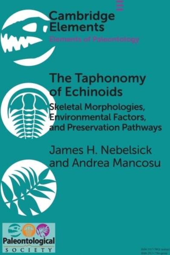 The Taphonomy of Echinoids av Andrea Mancosu, James H. Nebelsick