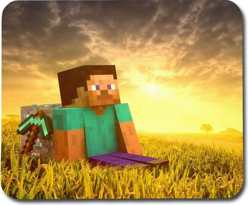 Minecraft Steve Musematte