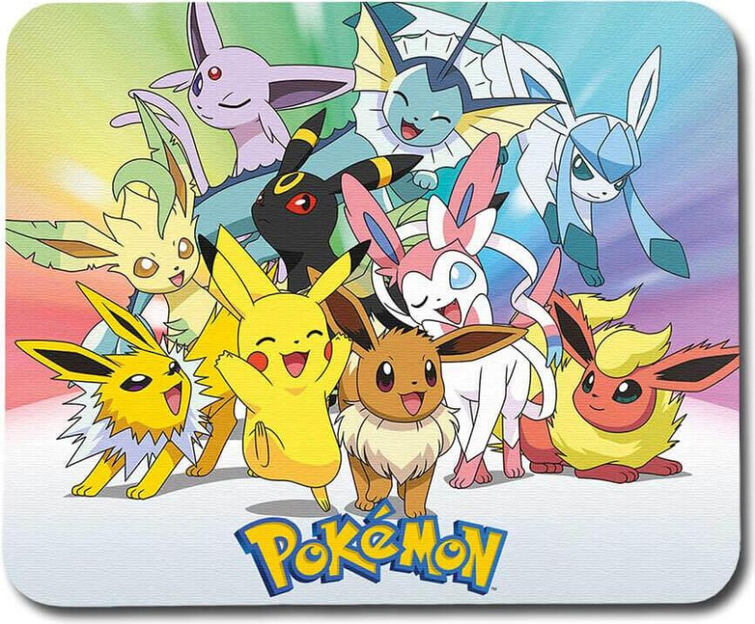 Pokemon Pikachu and Eevee Friends Musematte