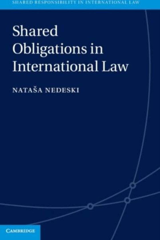 Shared Obligations in International Law av Natasa Nedeski