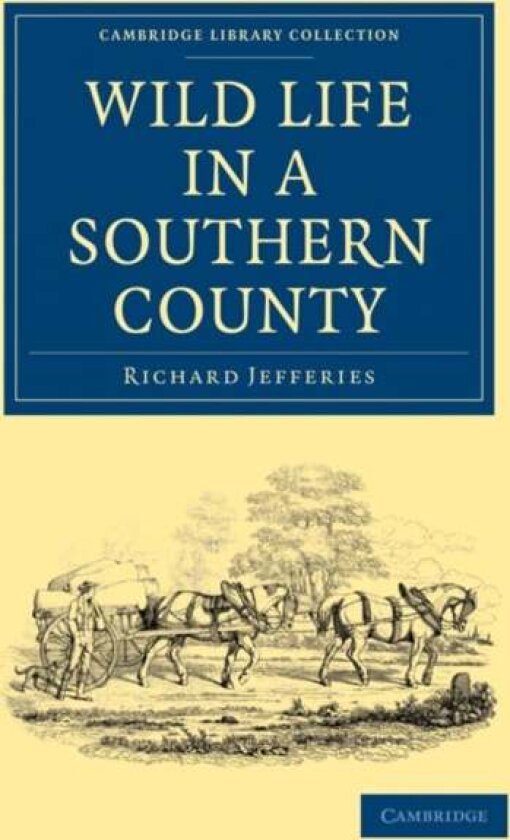 Wild Life in a Southern County av Richard Jefferies