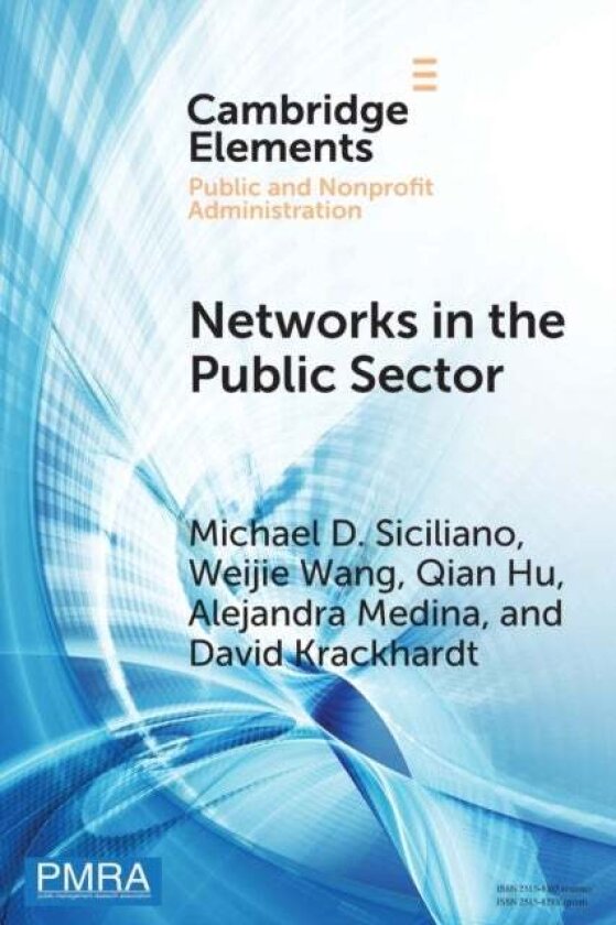 Networks in the Public Sector av Alejandra Medina