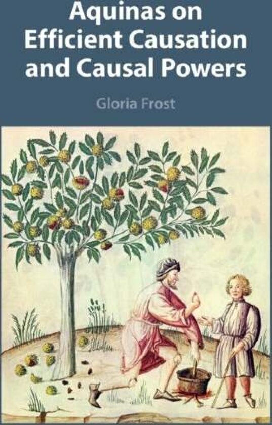 Aquinas on Efficient Causation and Causal Powers av Gloria Frost
