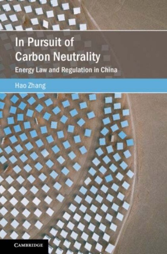 In Pursuit of Carbon Neutrality av Hao Zhang
