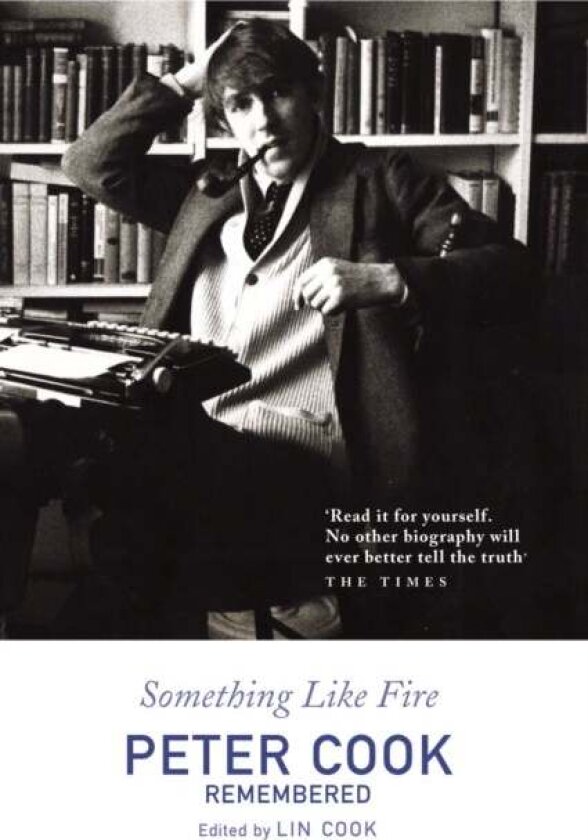Something Like Fire av Lin Cook