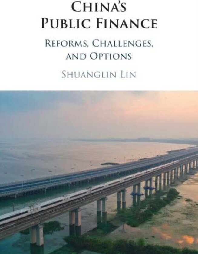 China's Public Finance av Shuanglin Lin