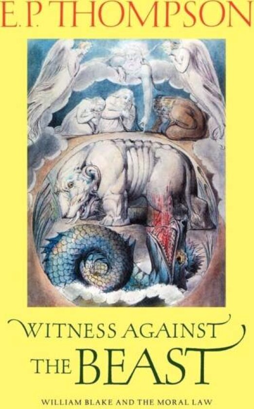 Witness against the Beast av E. P. Thompson