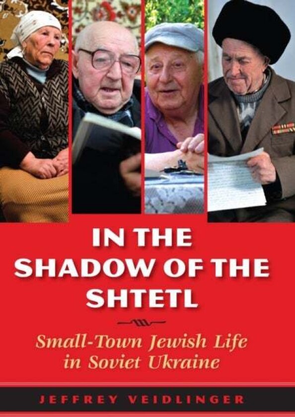 In the Shadow of the Shtetl av Jeffrey Veidlinger