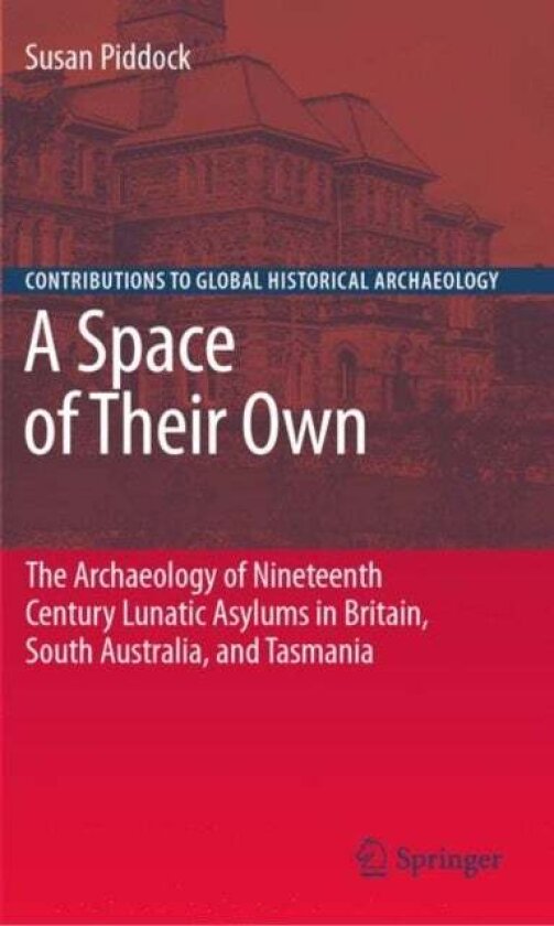 A Space of Their Own: The Archaeology of Nineteenth Century Lunatic Asylums in Britain, South Austra av Susan Piddock