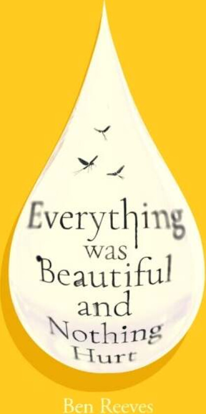 Everything was Beautiful and Nothing Hurt av Ben Reeves