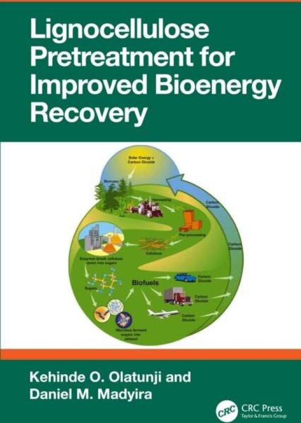 Lignocellulose Pretreatment for Improved Bioenergy Recovery av Daniel M. Madyira