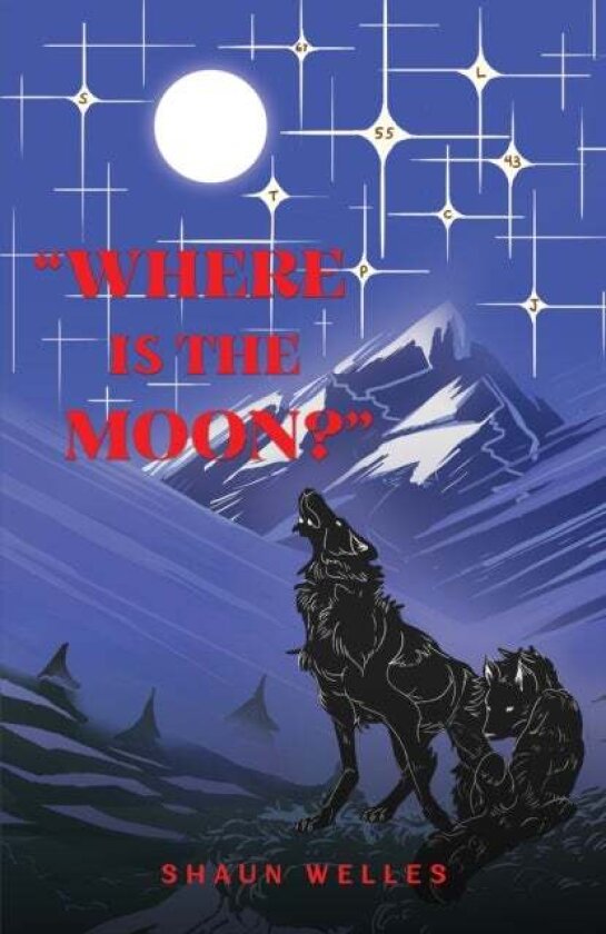 Where is the Moon? av Shaun Welles