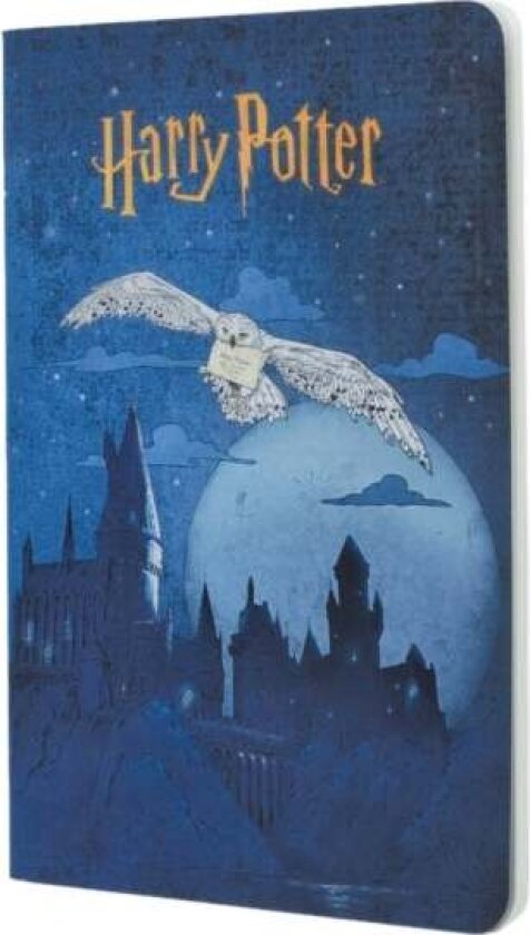 Escape to Hogwarts (Harry Potter Collection) A5 Grid Cahier av Paperblanks