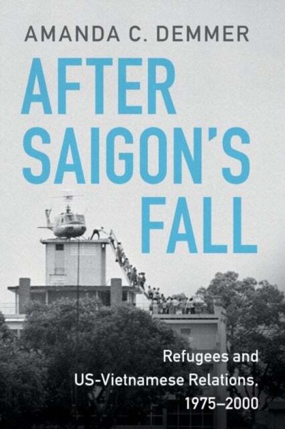 After Saigon's Fall av Amanda C. Demmer