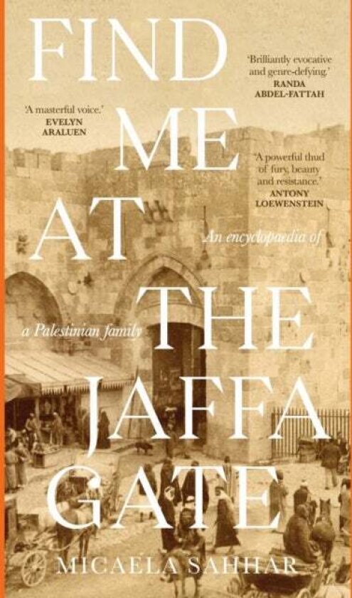 Find Me at the Jaffa Gate av Micaela Sahhar