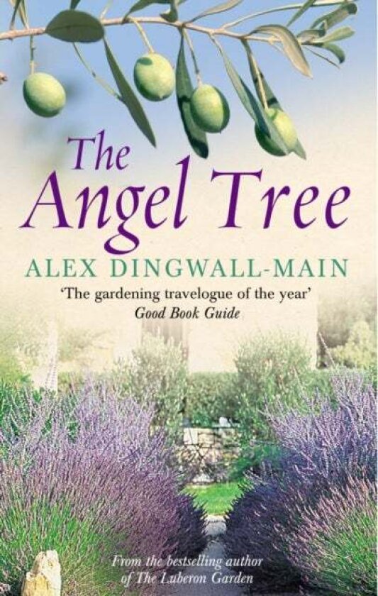 The Angel Tree av Alex Dingwall-Main