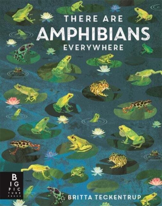 There Are Amphibians Everywhere av Camilla de la Bedoyere