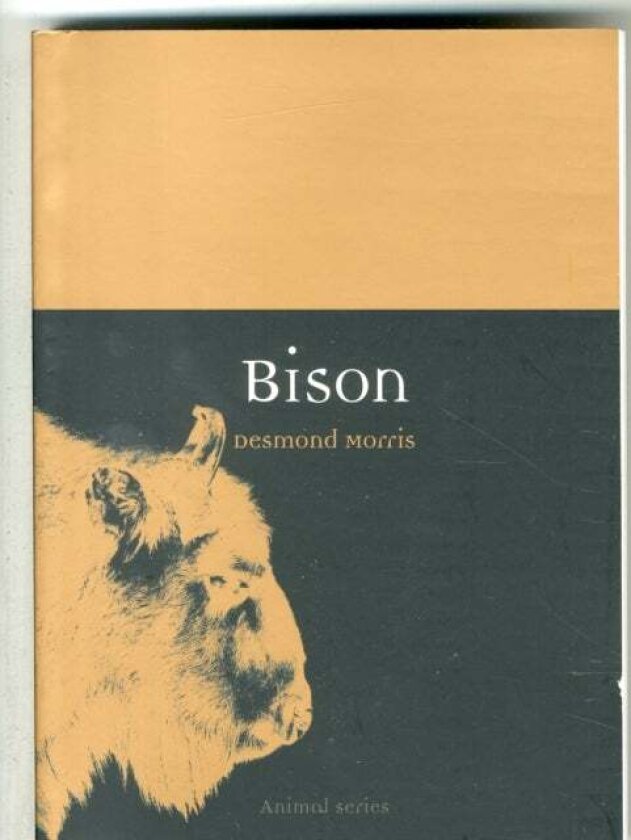 Bison av Desmond Morris