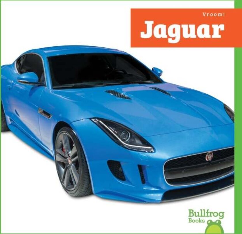 Jaguar av Mari Schuh