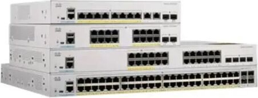 Catalyst 1000-48p-4g-l