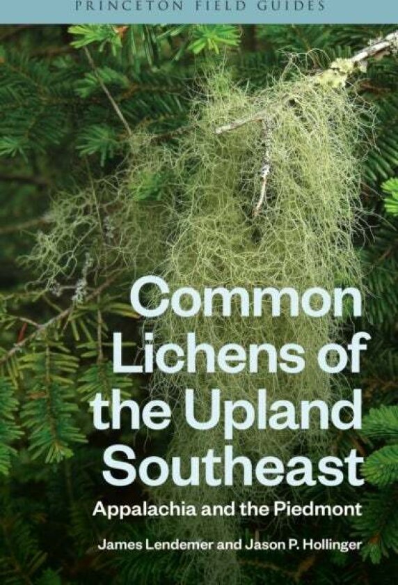Common Lichens of the Upland Southeast av James Lendemer