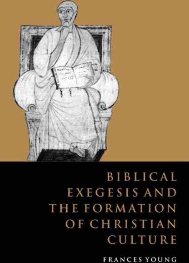 Biblical Exegesis and the Formation of Christian Culture av Frances M. Young