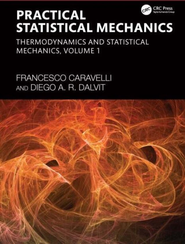 Practical Statistical Mechanics av Diego A. R. Dalvit