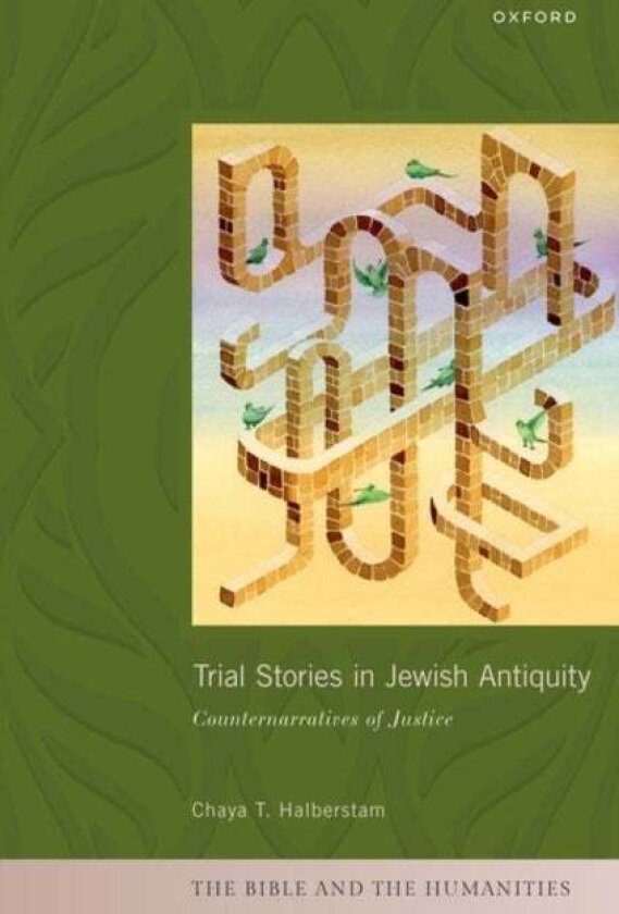Trial Stories in Jewish Antiquity av Chaya T. Halberstam