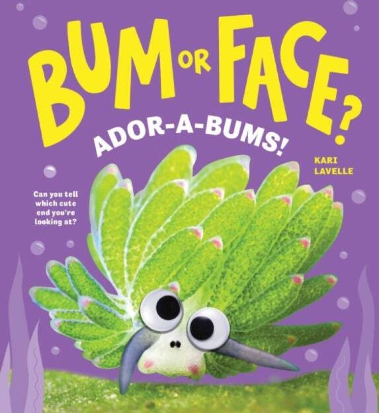 Bum or Face? Ador-a-Bums! av Kari Lavelle