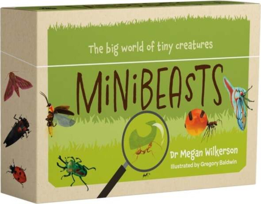 Minibeasts av Gregory Baldwin (Boxset)