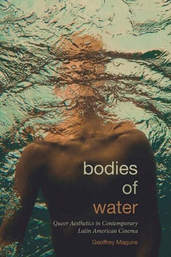 Bodies of Water av Geoffrey Maguire