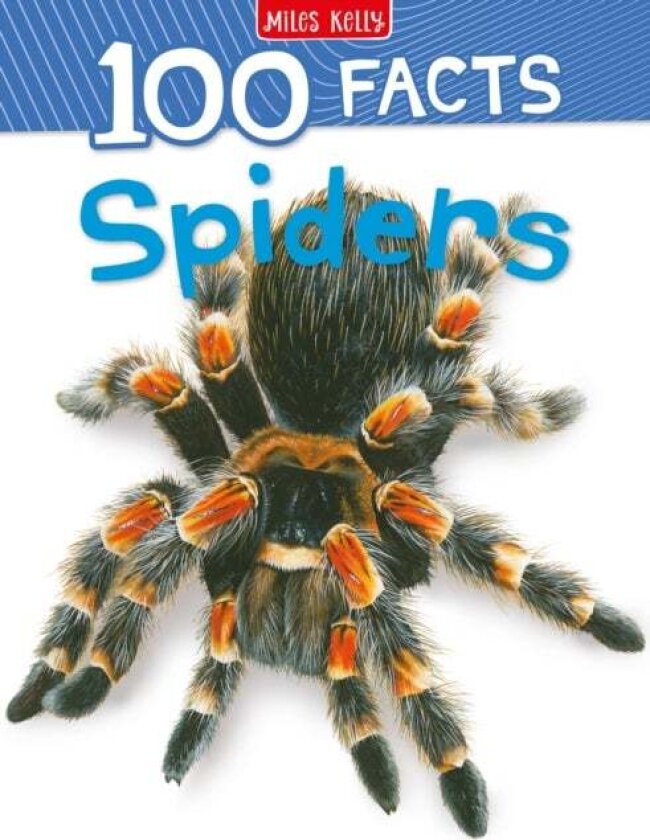 100 Facts Spiders av Camilla De La Bedoyere