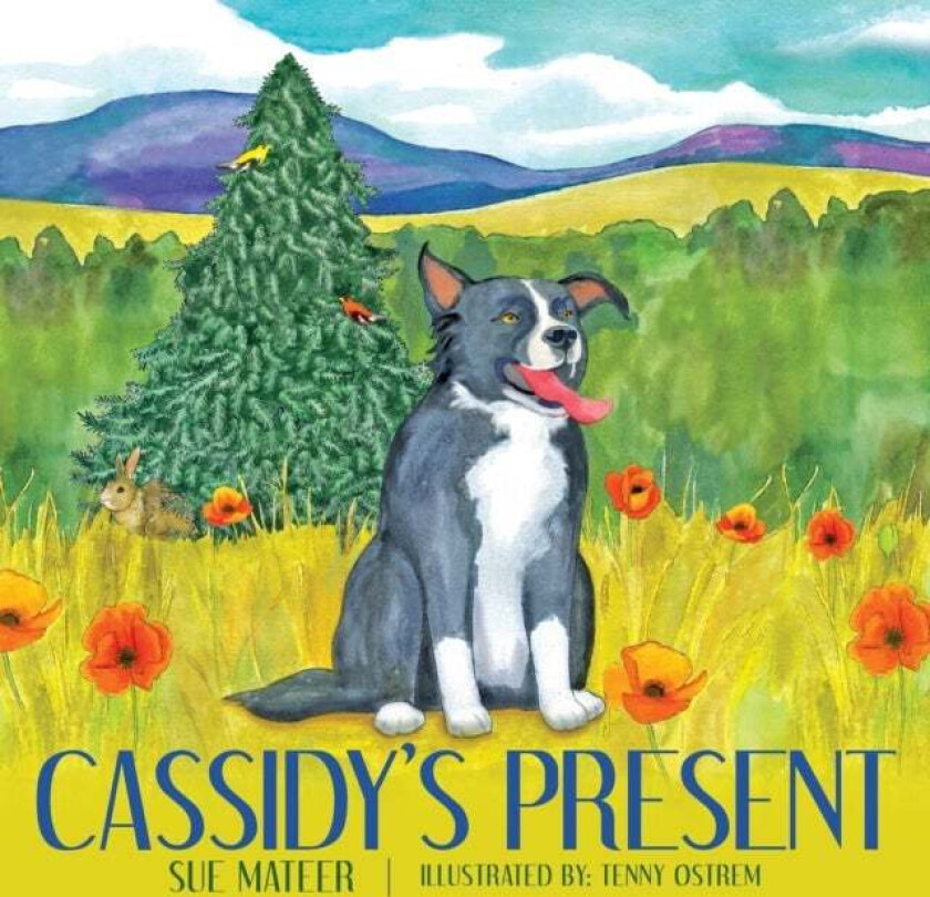 Cassidy's Present av Sue Mateer