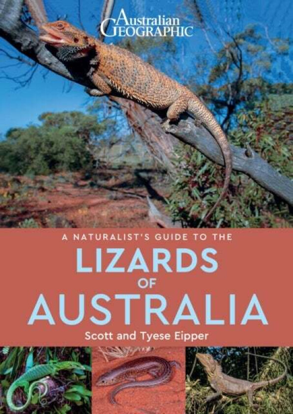 A Naturalist's Guide to the Lizards of Australia av Scott Eipper, Tyese Eipper