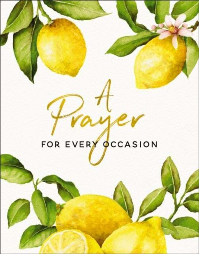 A Prayer for Every Occasion av Carrie Marrs