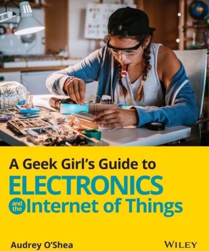 A Geek Girl's Guide to Electronics and the Internet of Things av Audrey O'Shea