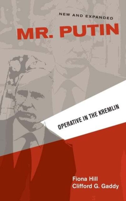 Mr. Putin REV av Clifford G. Gaddy