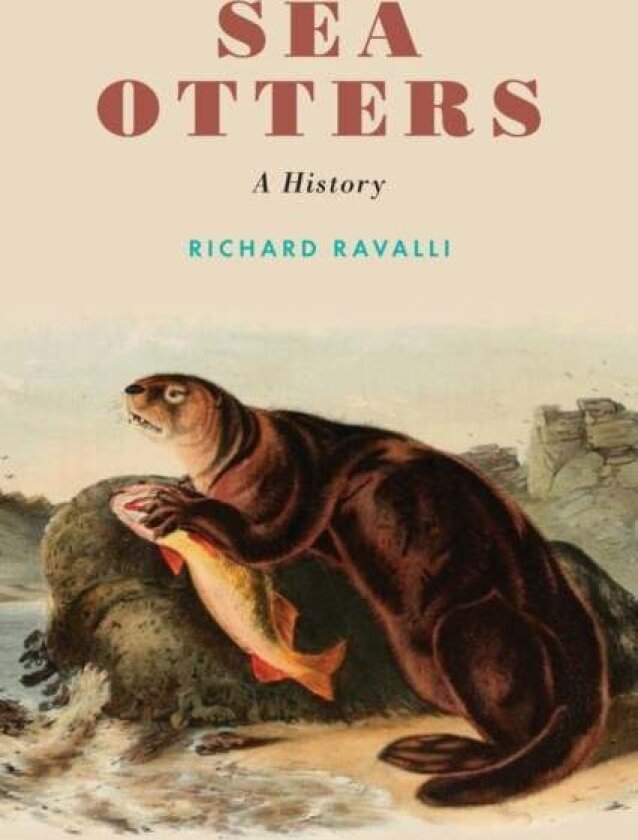 Sea Otters av Richard Ravalli