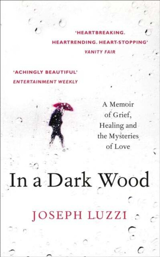 In a Dark Wood av Joseph Luzzi